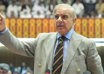 Import ban on luxury items to benefit the country: PM Shehbaz