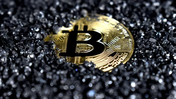 More than $200 billion has been wiped out of the entire cryptocurrency market in a day