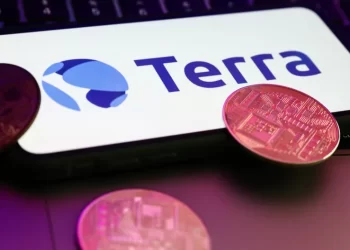 Top Terra Whales Speak Out on Network Collapse