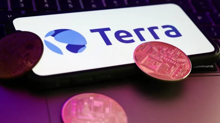 Top Terra Whales Speak Out on Network Collapse
