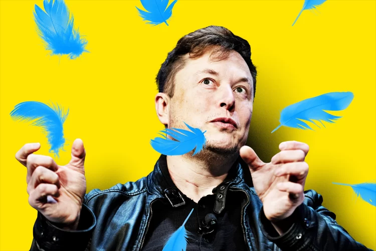 Two Twitter execs have been fired, adding to Elon Musk's takeover woes