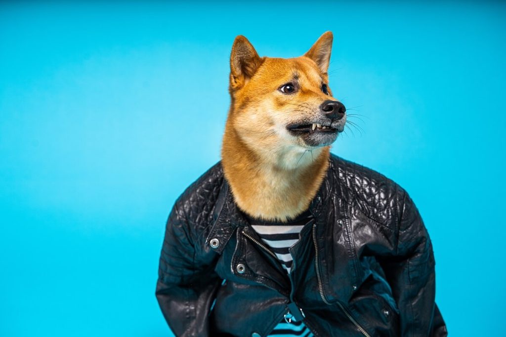 According to an Elliptic report, Doge is becoming more popular for illicit purposes