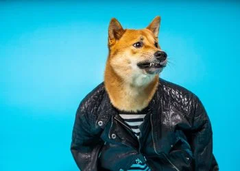 According to an Elliptic report, Doge is becoming more popular for illicit purposes