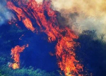 Fire erupts again on Margalla Hills