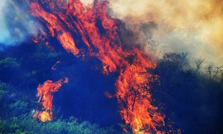 Fire erupts again on Margalla Hills