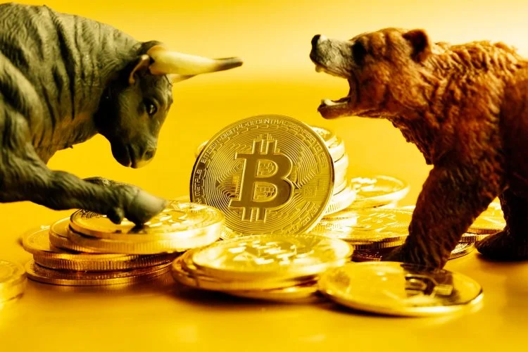 In one case, bitcoin falls below 24000, resulting in a loss of $200 billion