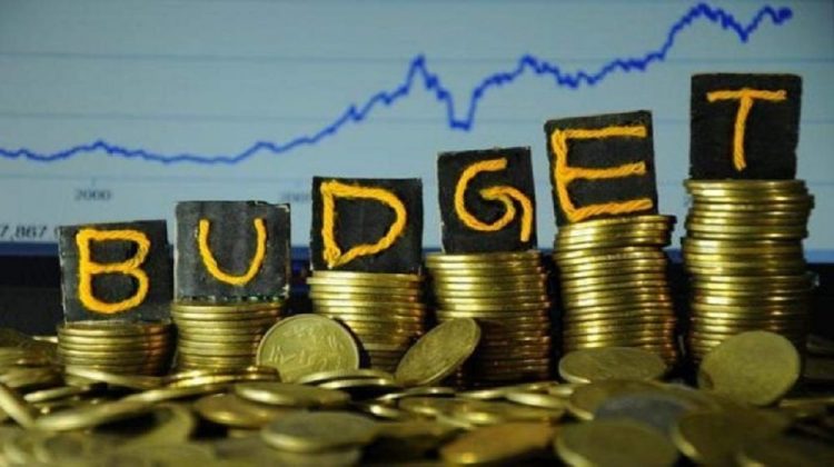 In the next Budget, the government announced Rs. 5.4 billion for the IT sector