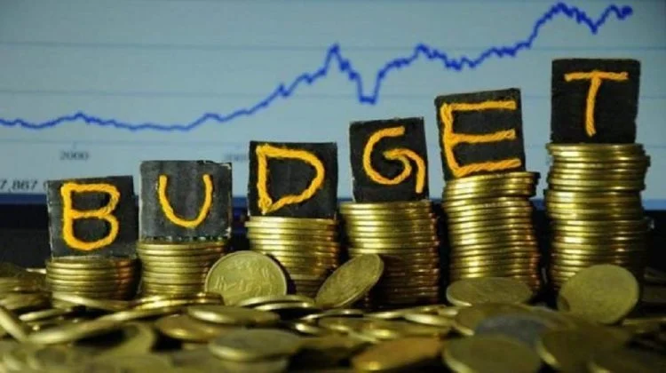 In the next Budget, the government announced Rs. 5.4 billion for the IT sector