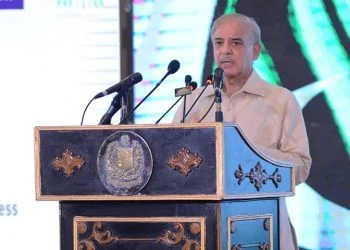 PM Shahbaz Sharif has high hopes of reviving the economy