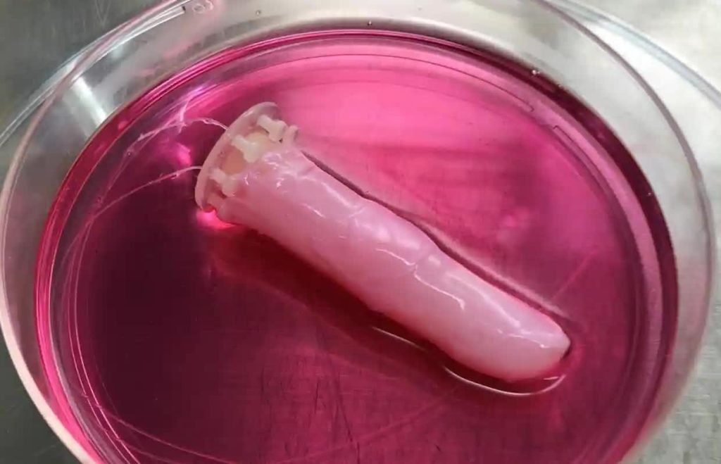 Scientists construct a self-healing robot finger with 'slightly sweaty' live skin