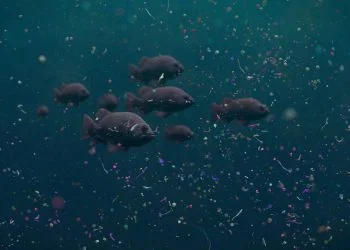 Chinese scientists make robot fish to ‘eat' microplastic in polluted ocean