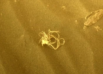 NASA's Mars rover finds an unknown and mysterious item