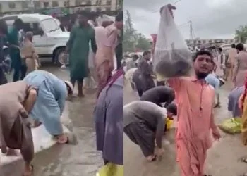 New Sabzi Mandi in Karachi becomes a fish farm due to heavy rainfall