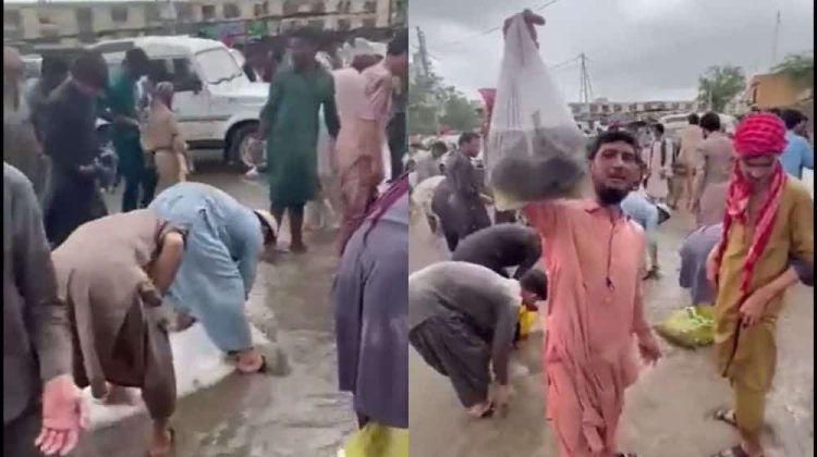 New Sabzi Mandi in Karachi becomes a fish farm due to heavy rainfall