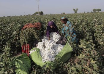 Pakistani agriculture industry has received $200 million from the World Bank