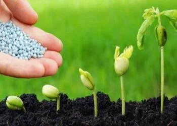 Release of the first-ever Sustainability Report by Engro Fertilizers