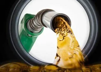 Senator: In Pakistan, petrol prices might rise to 1,000 rupees per litre