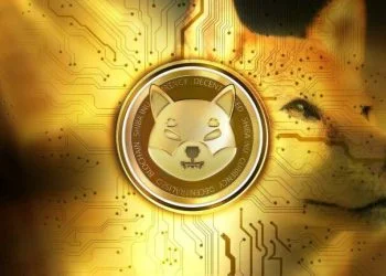 Meme coins that have taken over the top Ethereum whale holdings