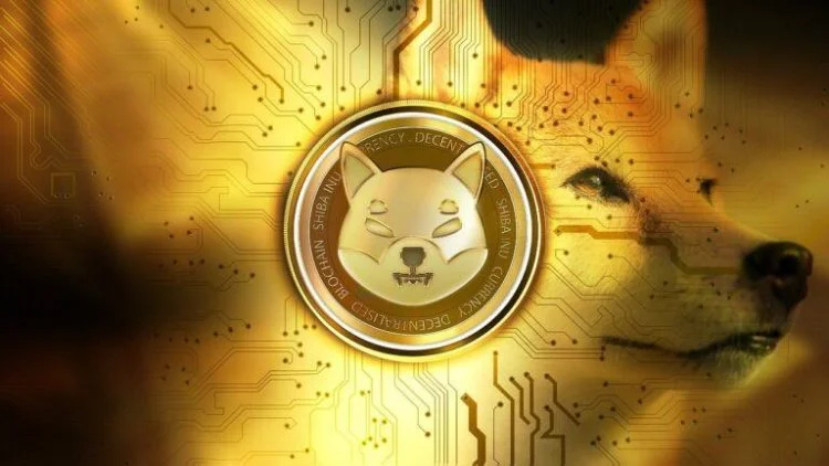 Meme coins that have taken over the top Ethereum whale holdings