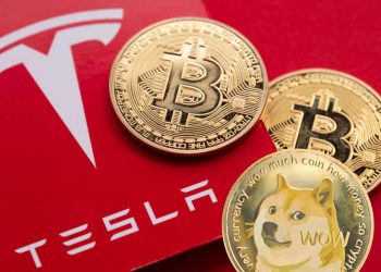 Musk said "certainly open to increasing its BTc holdings" doge rises