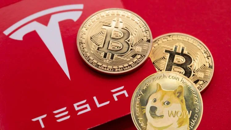 Musk said "certainly open to increasing its BTc holdings" doge rises