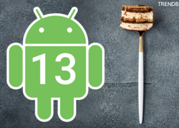 Android 13 launched with an improved appearance & privacy options