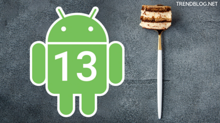 Android 13 launched with an improved appearance & privacy options