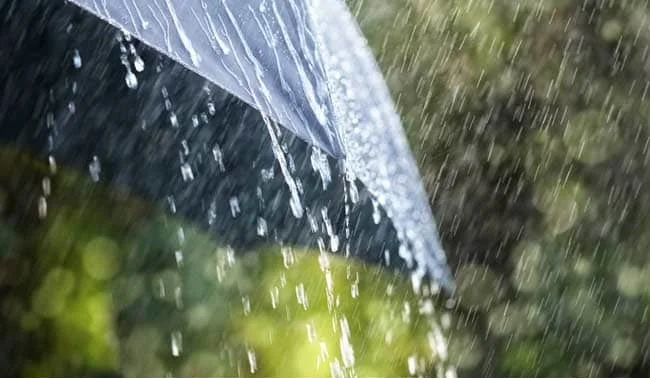 Pakistan experiences rainfall in July that breaks a 61-year record