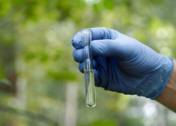 "Precious samples" from a recent space mission suggest that asteroids may have carried water to Earth