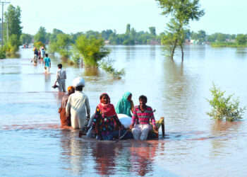The best ways to prepare for a flood: before, during, and after