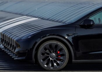 German taxpayer-subsidized E-vehicles end up on foreign roads