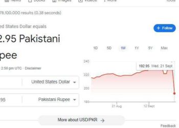 Google bug displays the USD to PKR exchange rate as Rs. 192.95