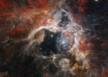 James Webb Telescope photographed Tarantula Nebula