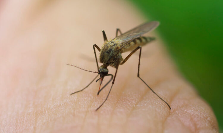 Malaria outbreak after disastrous Floods in Sindh and KP