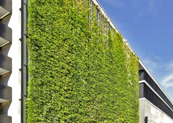 Nature and Technology: Plant-Growing walls
