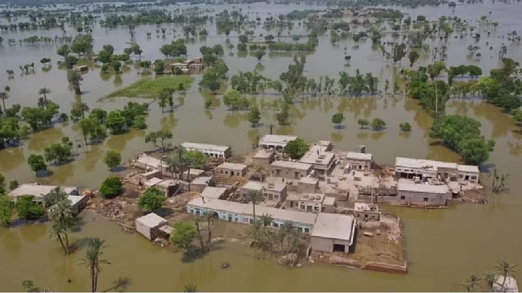 Up to $20 billion in flood losses are forecasted for Pakistan