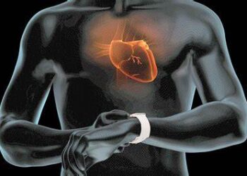 Wearing a cardiac monitor on your sleeve: The role of smart gadgets in healthcare