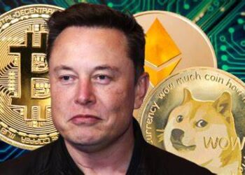 Elon Musk's Twitter agreement causes the price of Dogecoin to rise