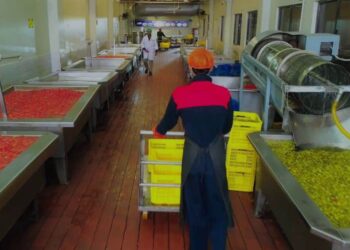 Four factory workers in Sindh die from toxic gas