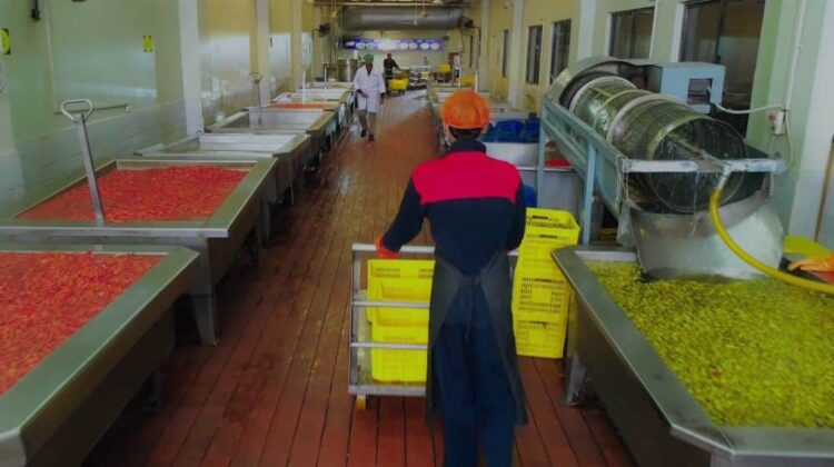 Four factory workers in Sindh die from toxic gas