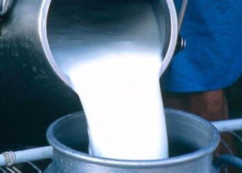 Karachi's milk producers oppose setting milk prices at Rs. 170