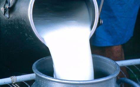 Karachi's milk producers oppose setting milk prices at Rs. 170