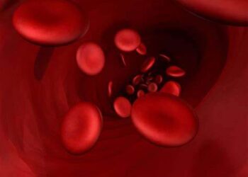 Researchers find a new set of blood groups