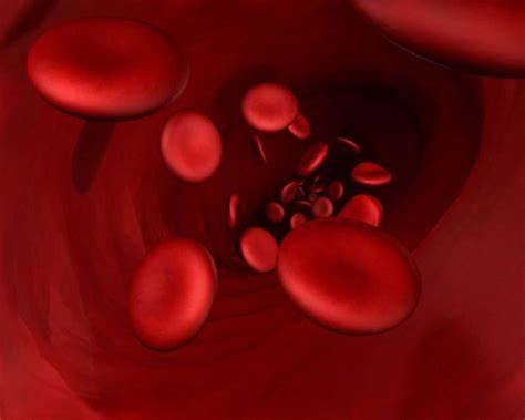 Researchers find a new set of blood groups