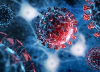 US researchers create a new, lethal strain of Covid with an 80% death rate