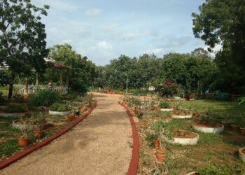 Due to government's neglect, Pakistan's first botanical garden ruins