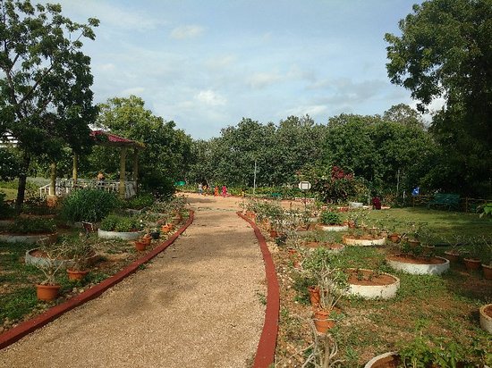 Due to government's neglect, Pakistan's first botanical garden ruins