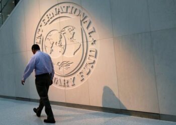 Government provides IMF with updated budgetary guidance