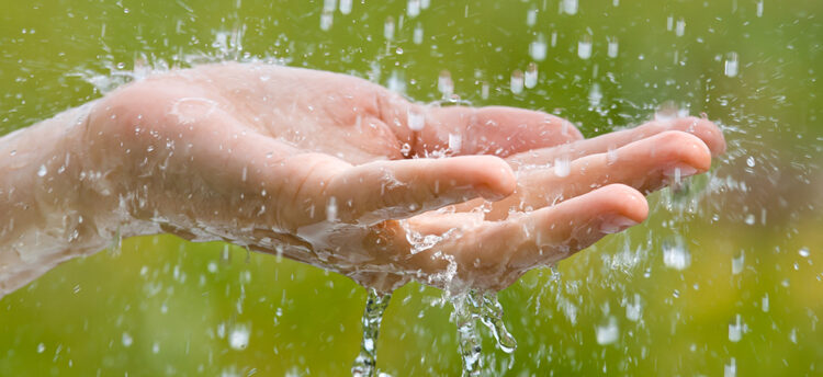 How To use rainwater in your home