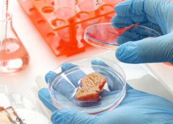 Lab-grown meat startup in California receives first approval from US FDA